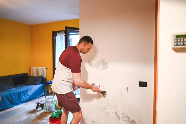 Best Affordable Mold Removal  in Blackshear, GA